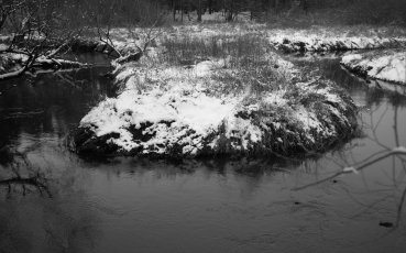 l-019504.jpg