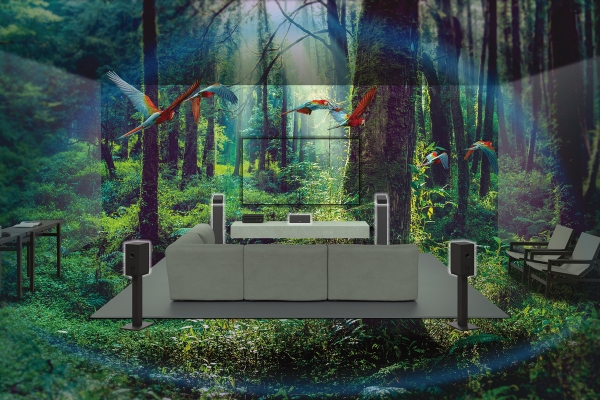 user-experience-forest-mid.jpg