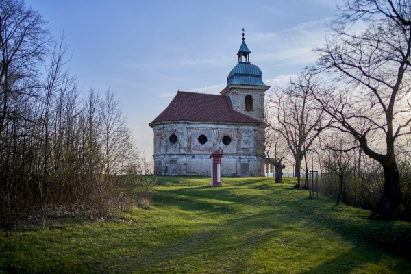 -bsr1356-resize.jpg