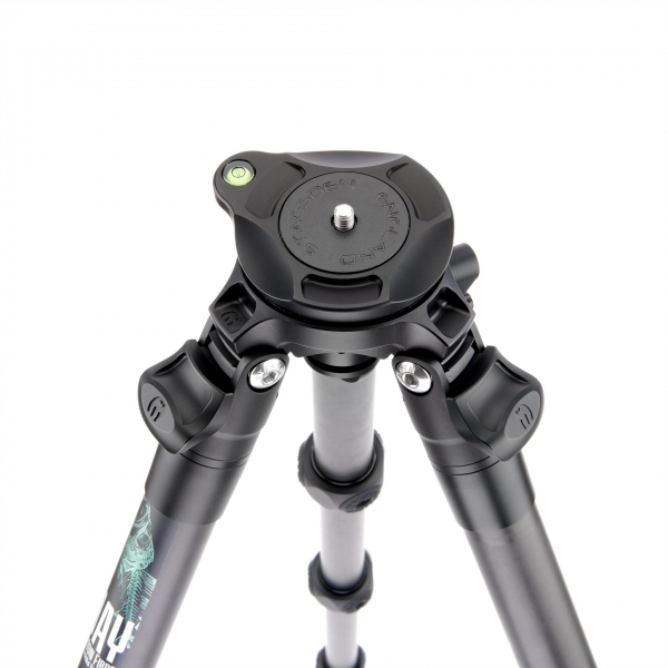 jaydark-11472.jpg