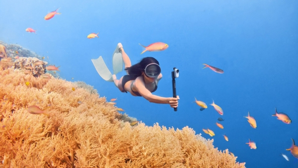 -underwater-1.jpg