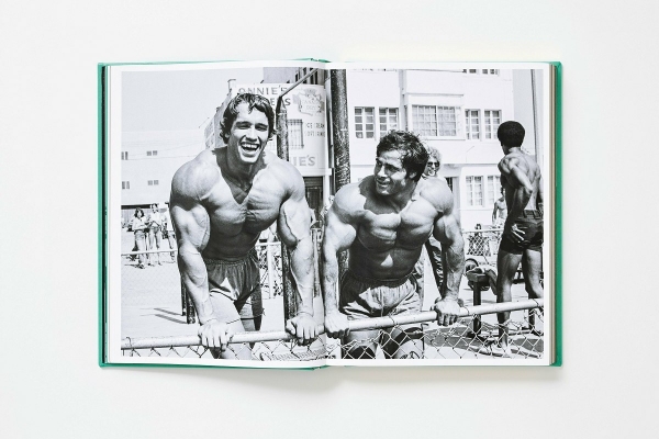 arnold-ce-gb-v1-open001-052-053-x-03105-2306011309-id-1426757.jpg