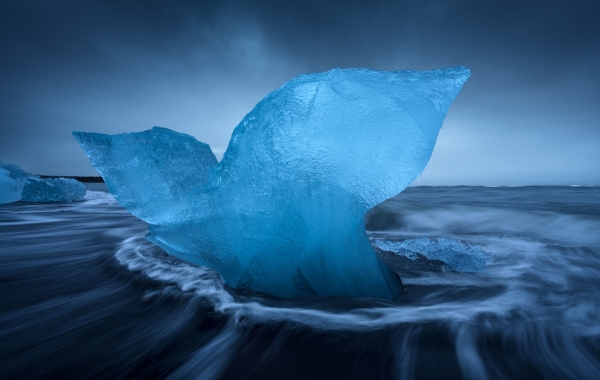 ice-whale.jpg