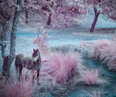 iruv-olympus-01957-editar.jpg