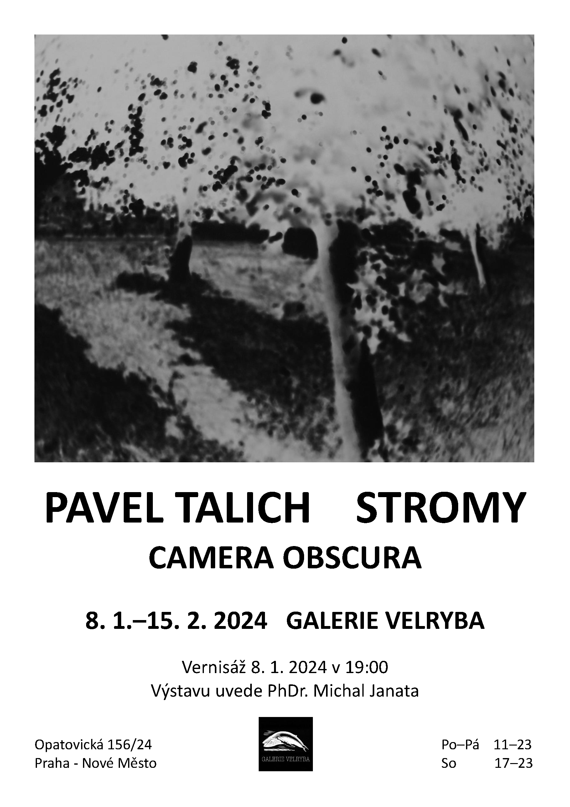 Pavel Talich Stromy in