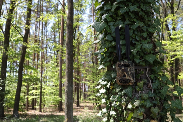 b3-fotopast-spyshop24-image-2.jpg