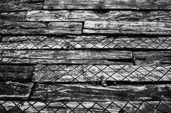 imgp0828-edit.jpg