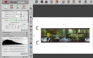 roundshot1-28-220-printscreen-silverfas-9t.jpg