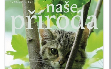 napr-03-24.jpg