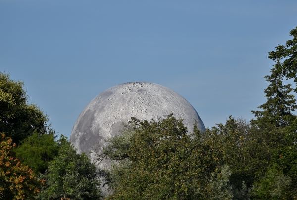 dsc-8570.jpg
