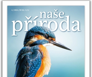 napr-04-24.jpg