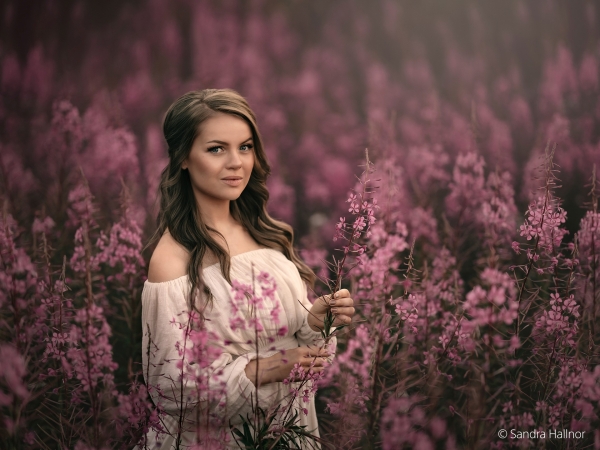 sandra-hallnor-2.jpg