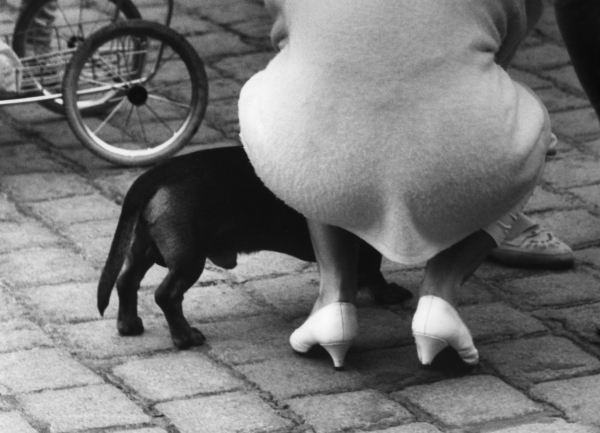 foto-frantisek-dostal-humor-z-temne-komory-(2).jpg