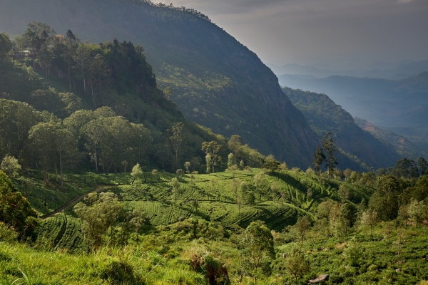 p2266217.jpg