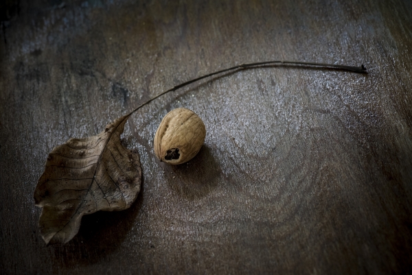 3.-david-cerny---na-prkne.jpg