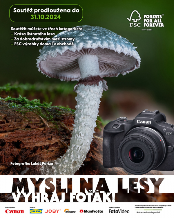 mysli-na-lesy---poster.png