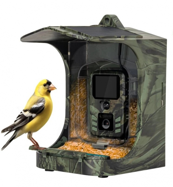 evolveo-birdfeeder.jpg
