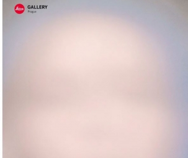 Leica Gallery výstava