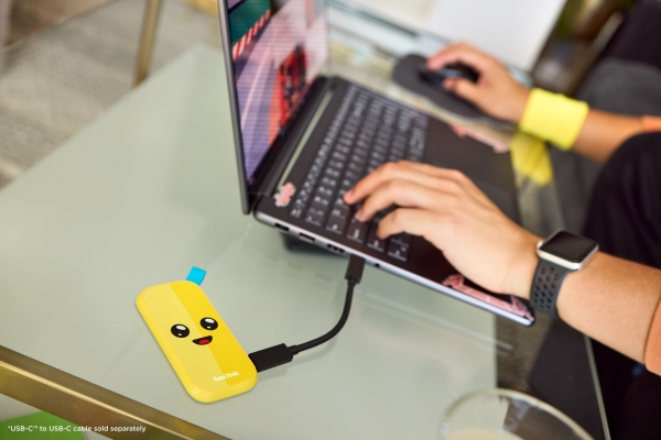 sndk-fortnite-pssd-life-3-lr.jpg