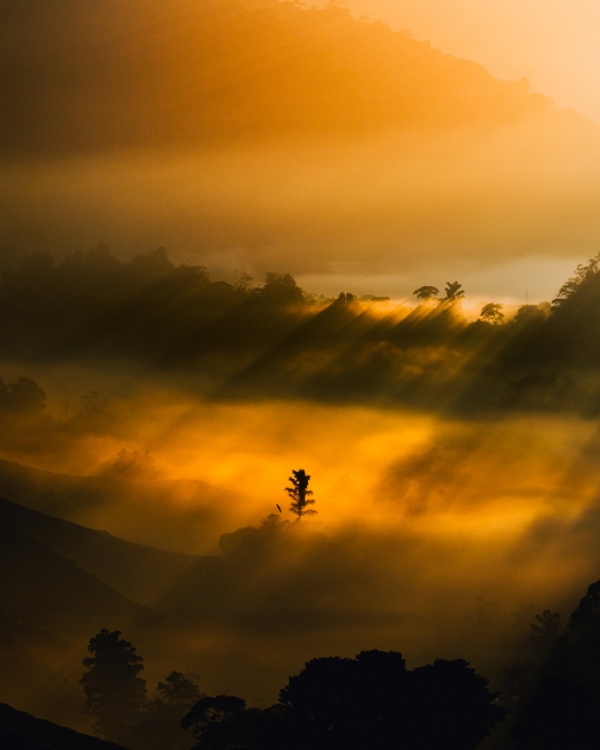 -landon-chong-chung-yi,-malaysia,-shortlist,-youth-competition,-sony-world-photography-awards-2025.jpg