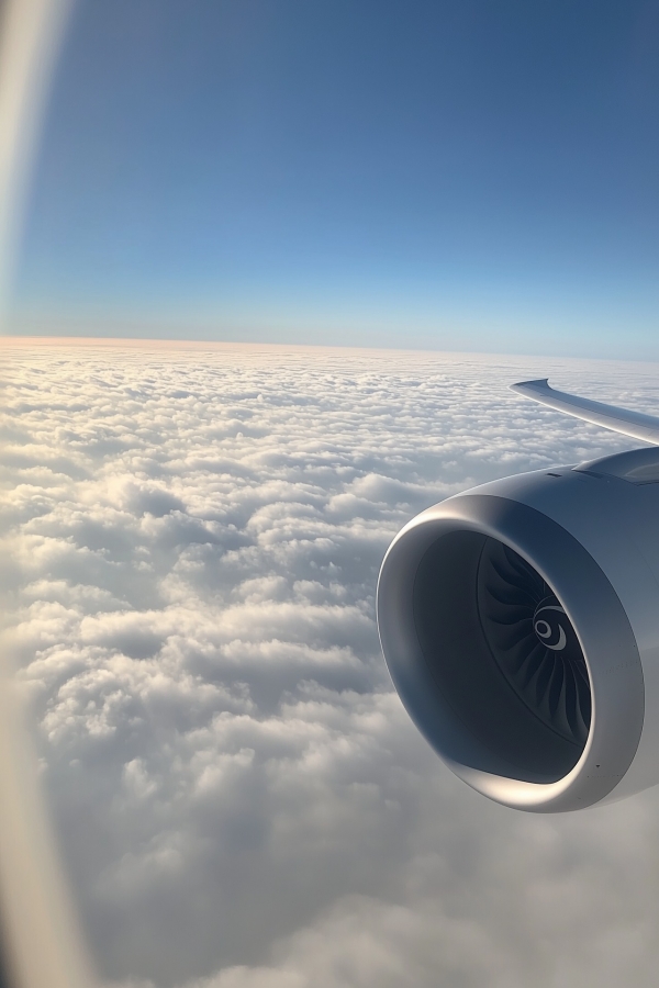 panvojtek-a-natural-mid-flight-snapshot-taken-from-a-window-sea-865b2637-151e-485f-aeab-bb1c2c51c0f1.jpg