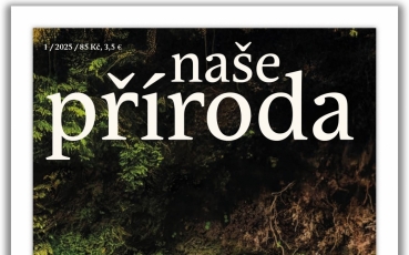 napr-01-25.jpg