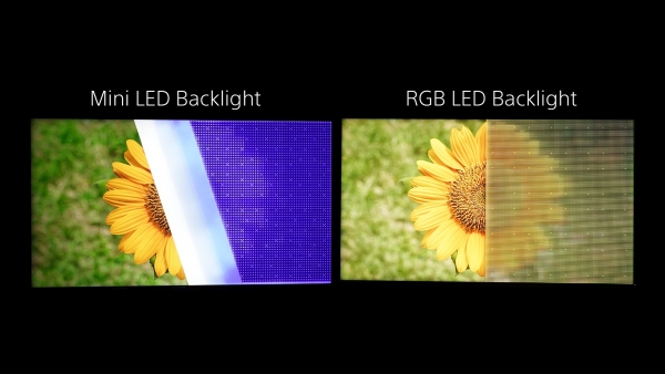 mini-vs.-rgb-2.jpg
