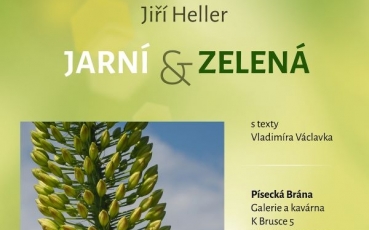 Jiří Heller vystavuje hl