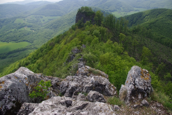 muranska22.jpg