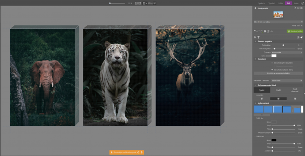 zps-05-triptych.png