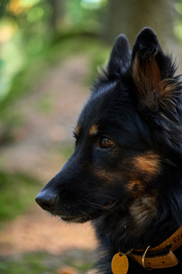 010-recenze-tamron-90-mm-f2-8-di-iii-macro-vxd.jpg
