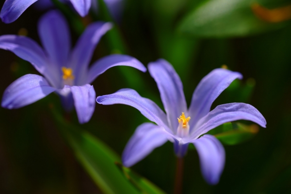 023-recenze-tamron-90-mm-f2-8-di-iii-macro-vxd.jpg