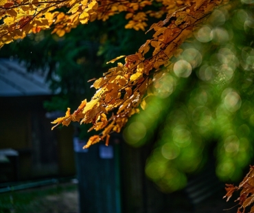 008-recenze-tamron-90-mm-f2-8-di-iii-macro-vxd.jpg