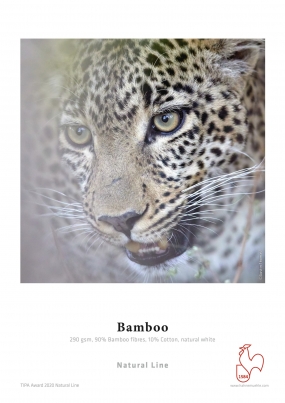 04-obr2-rs1382-02-bamboo-lpr.jpg