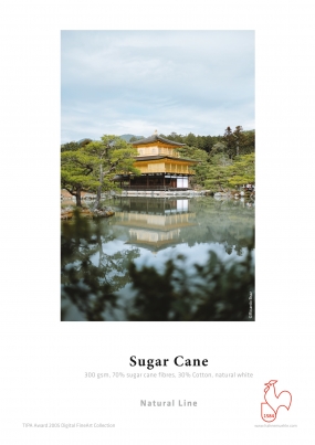 04-obr5-rs2301-32-sugar-cane.jpg