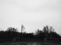 romana-marie-jokelova,-iii---muj-den-s-petrem---foceno-iphonem-5.jpg