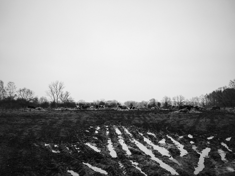 romana-marie-jokelova,-iii---muj-den-s-petrem---foceno-iphonem-6.jpg