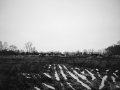 romana-marie-jokelova,-iii---muj-den-s-petrem---foceno-iphonem-6.jpg