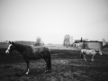 romana-marie-jokelova,-iii---muj-den-s-petrem---foceno-iphonem-7.jpg