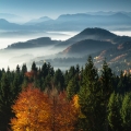 orava---kubinska---jesen-new-st-mf.jpg