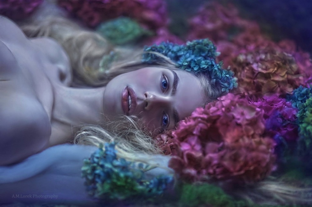 Agnieszka Lorek