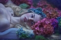 Agnieszka Lorek