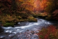 marek-ondracek-6.jpg