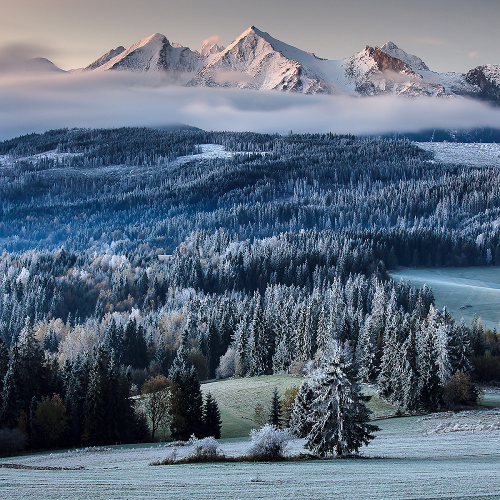marian-beres-lapzsanka---mrazive-landscape-st-500.jpg