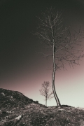 martin-valach-storm.jpg