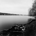 martin-valach-think1.jpg