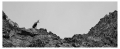 pavel-salda-high-tatras-1.jpg