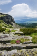 veronika-dvorakova,-vysoke-tatry-2.jpg