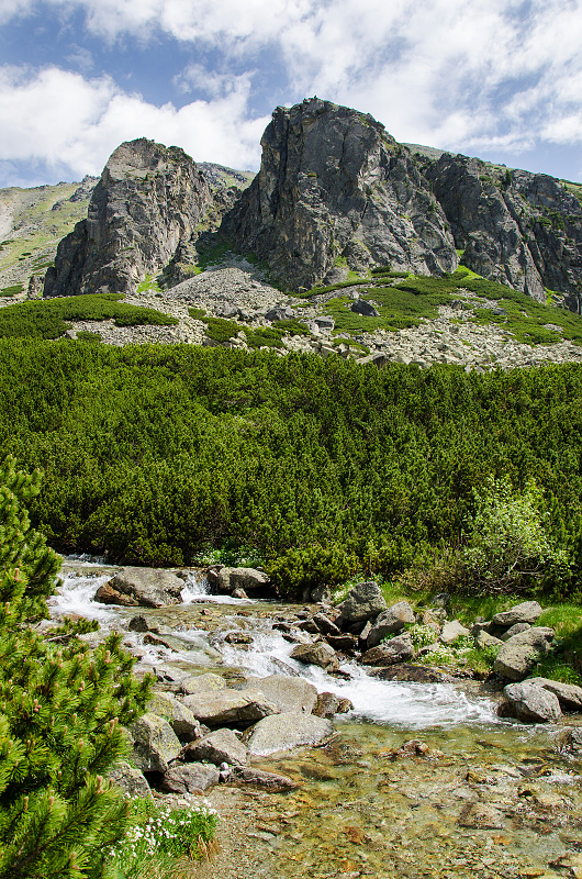 veronika-dvorakova,-vysoke-tatry-7.jpg