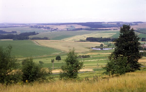 vitezslav-motl-krajina-s-poli-na-havlickobrodsku,-ceska-republika.jpg